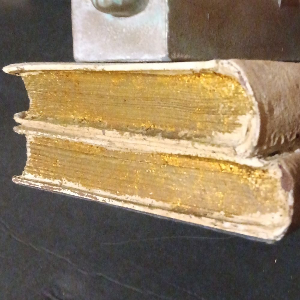 Sleeping Lion Sculpture on Books of Religion RARE & UNIQUE - Picture 15 of 17